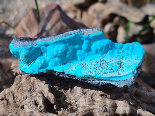 Natural Botryoidal Chrysocolla Specimens x 12 From Kulukuluku, Congo - Toprock Gemstones and Minerals 