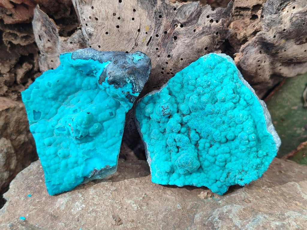 Natural Botryoidal Chrysocolla Specimens x 12 From Kulukuluku, Congo - Toprock Gemstones and Minerals 