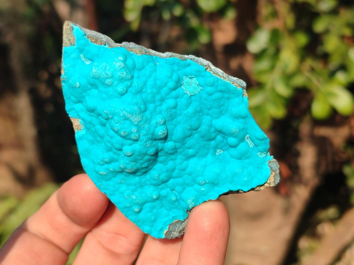 Natural Botryoidal Chrysocolla Specimens x 12 From Kulukuluku, Congo - Toprock Gemstones and Minerals 