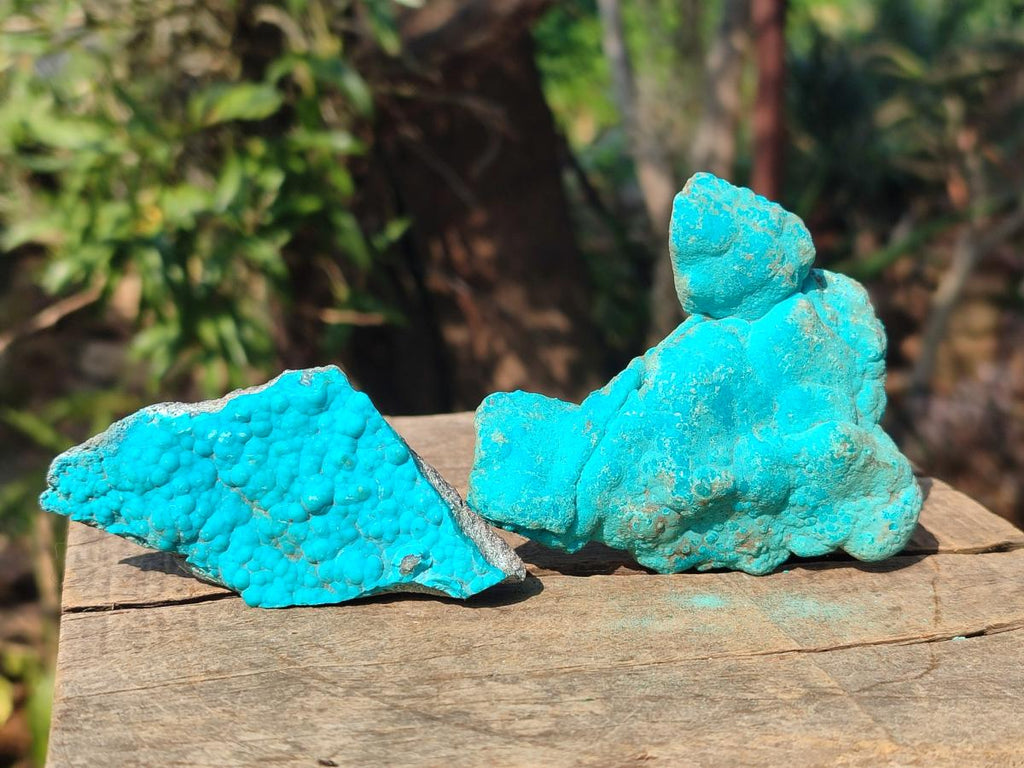 Natural Botryoidal Chrysocolla Specimens x 12 From Kulukuluku, Congo - Toprock Gemstones and Minerals 