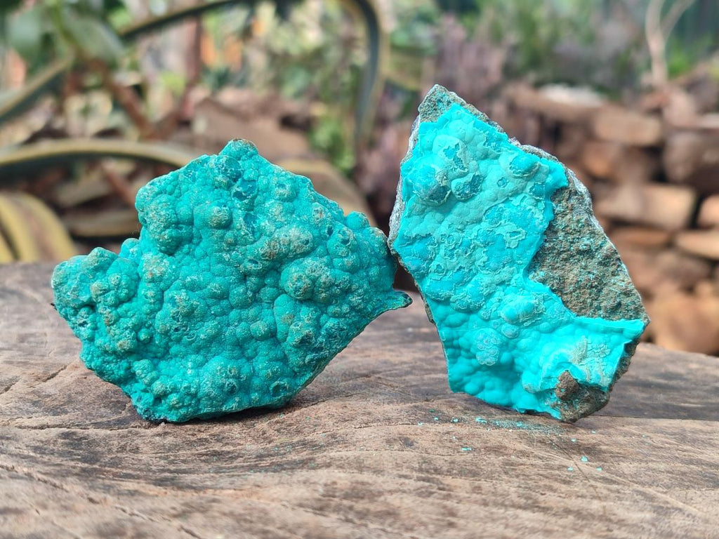 Natural Botryoidal Chrysocolla Specimens x 12 From Kulukuluku, Congo - Toprock Gemstones and Minerals 