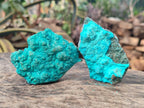 Natural Botryoidal Chrysocolla Specimens x 12 From Kulukuluku, Congo - Toprock Gemstones and Minerals 
