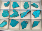 Natural Botryoidal Chrysocolla Specimens x 12 From Kulukuluku, Congo - Toprock Gemstones and Minerals 
