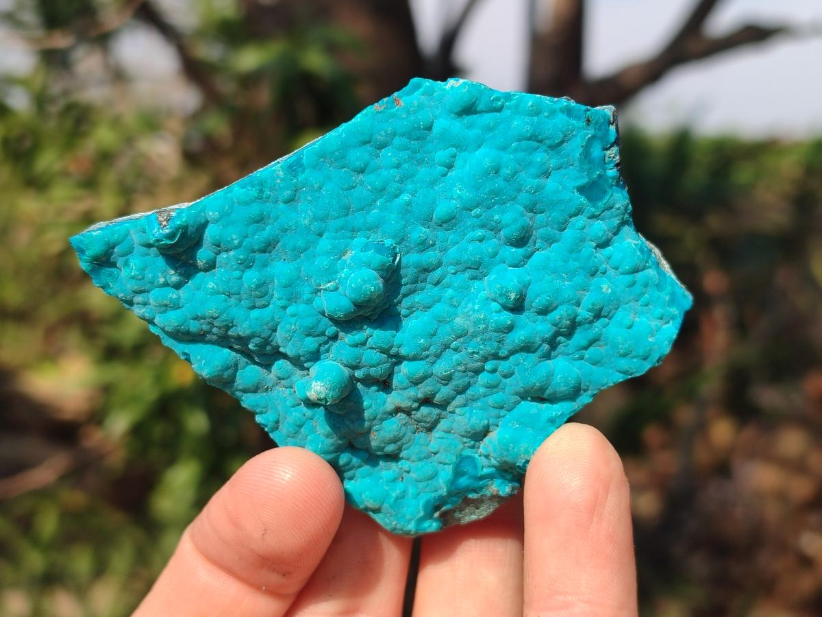 Natural Botryoidal Chrysocolla Specimens x 12 From Kulukuluku, Congo - Toprock Gemstones and Minerals 