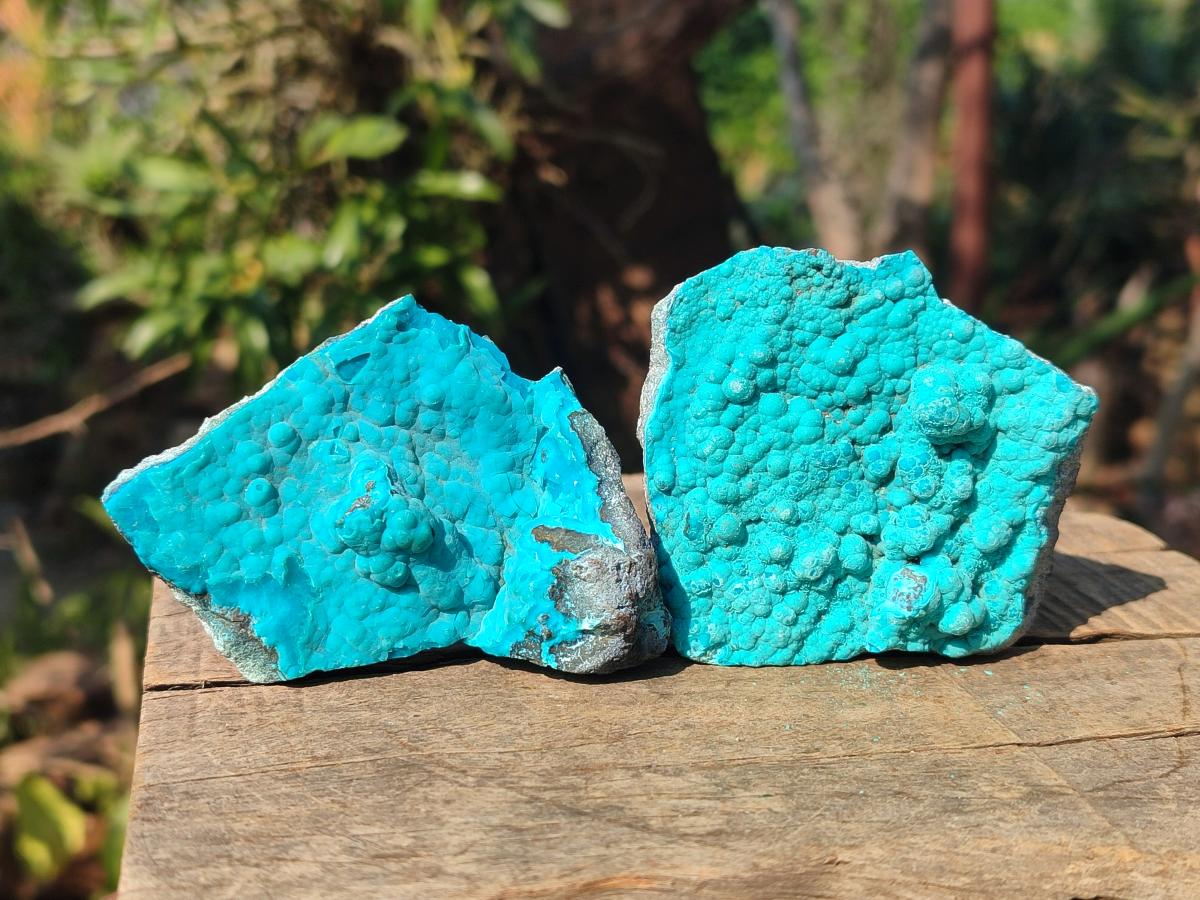 Natural Botryoidal Chrysocolla Specimens x 12 From Kulukuluku, Congo - Toprock Gemstones and Minerals 