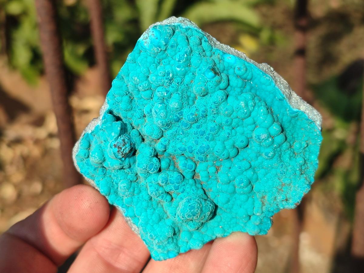 Natural Botryoidal Chrysocolla Specimens x 12 From Kulukuluku, Congo - Toprock Gemstones and Minerals 
