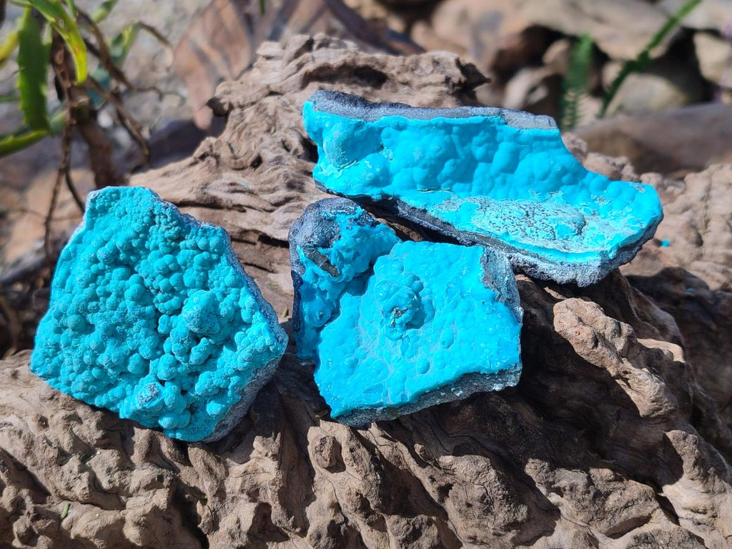 Natural Botryoidal Chrysocolla Specimens x 12 From Kulukuluku, Congo - Toprock Gemstones and Minerals 