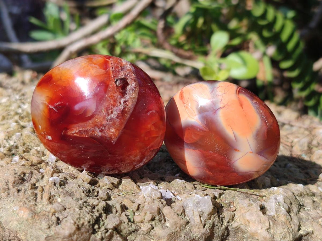 Polished and Natural Carnelian Agate Gemstone Galets x 24 From Madagascar - Toprock Gemstones and Minerals 