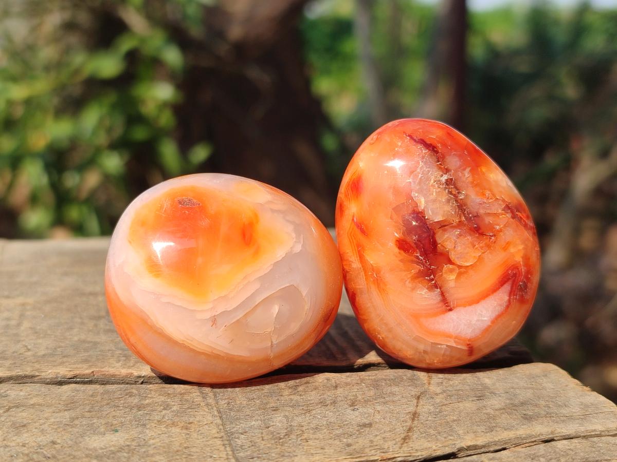 Polished and Natural Carnelian Agate Gemstone Galets x 24 From Madagascar - Toprock Gemstones and Minerals 