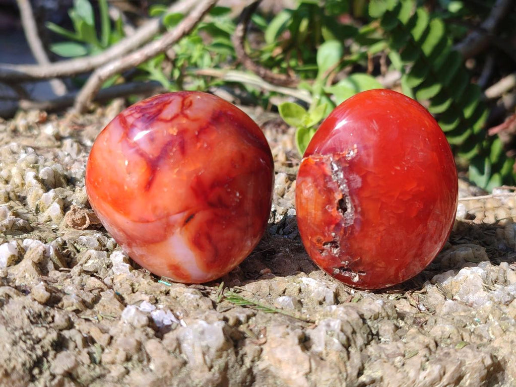 Polished and Natural Carnelian Agate Gemstone Galets x 24 From Madagascar - Toprock Gemstones and Minerals 