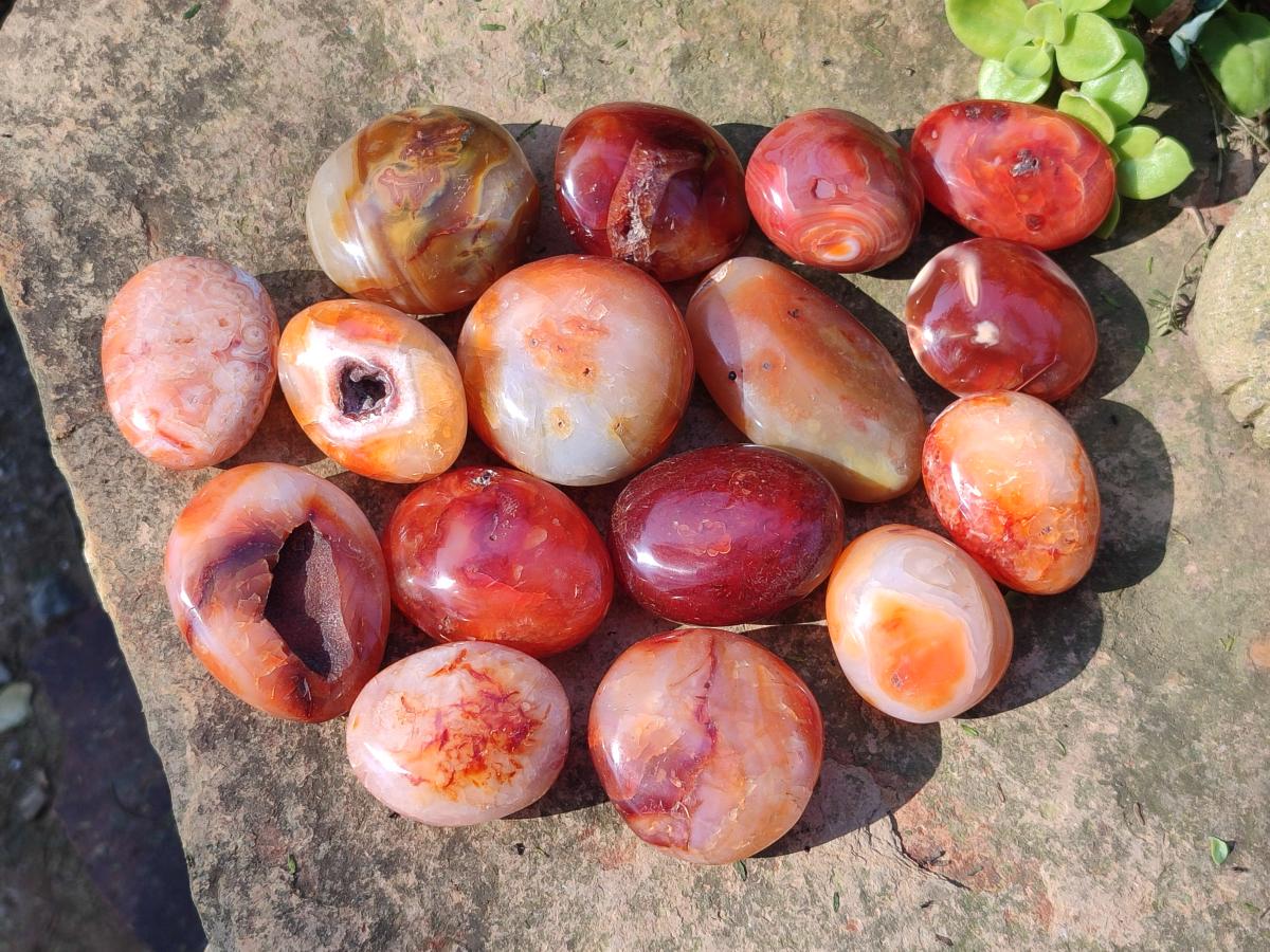 Polished and Natural Carnelian Agate Gemstone Galets x 24 From Madagascar - Toprock Gemstones and Minerals 