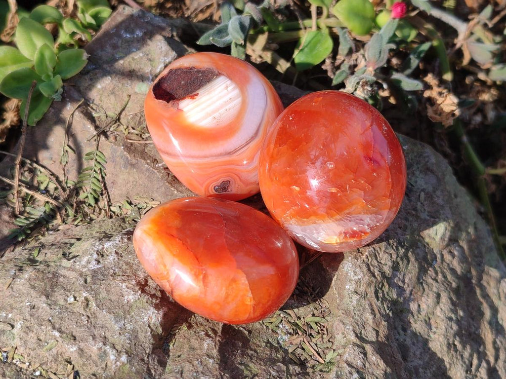 Polished and Natural Carnelian Agate Gemstone Galets x 24 From Madagascar - Toprock Gemstones and Minerals 