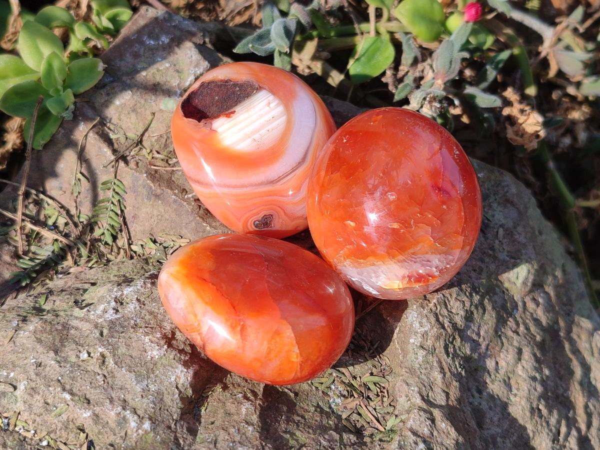 Polished and Natural Carnelian Agate Gemstone Galets x 24 From Madagascar - Toprock Gemstones and Minerals 