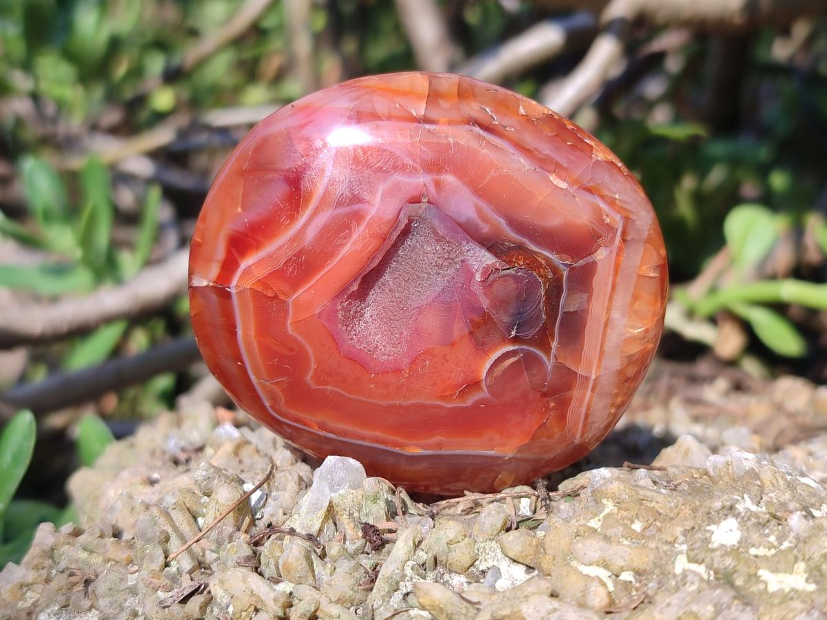 Polished and Natural Carnelian Agate Gemstone Galets x 24 From Madagascar - Toprock Gemstones and Minerals 