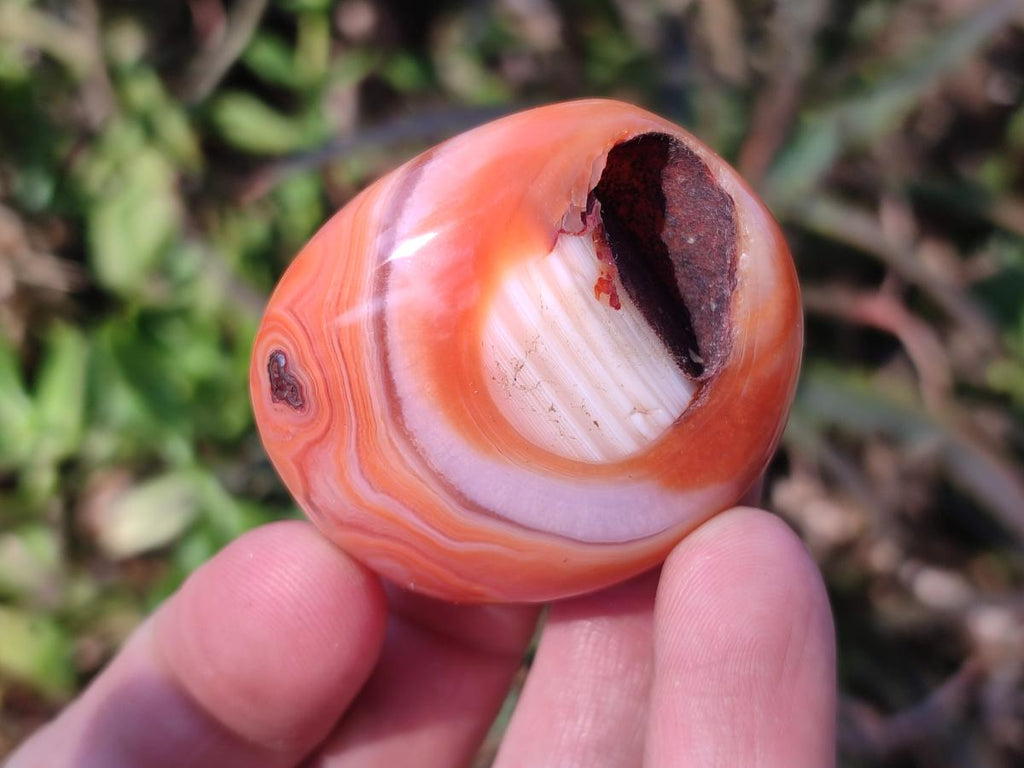 Polished and Natural Carnelian Agate Gemstone Galets x 24 From Madagascar - Toprock Gemstones and Minerals 