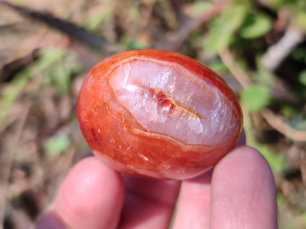 Polished and Natural Carnelian Agate Gemstone Galets x 24 From Madagascar - Toprock Gemstones and Minerals 