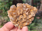 Natural Golden Limonite Quartz Clusters x 12 From Solwezi, Zambia