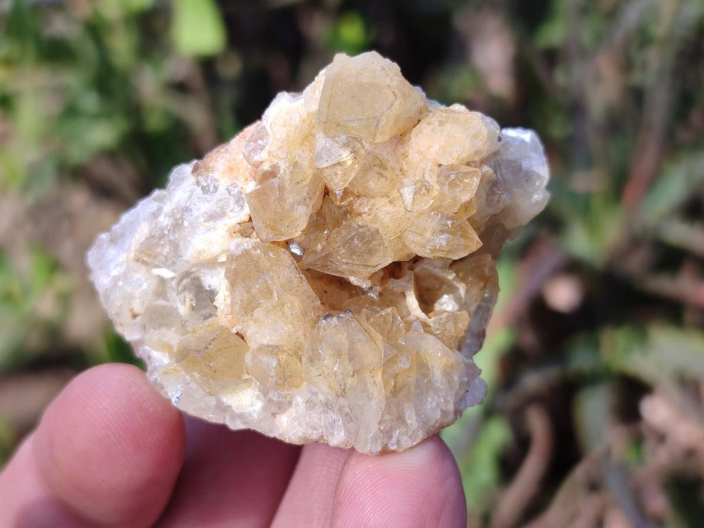 Natural Golden Limonite Quartz Clusters x 12 From Solwezi, Zambia