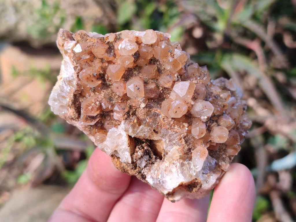 Natural Golden Limonite Quartz Clusters x 12 From Solwezi, Zambia