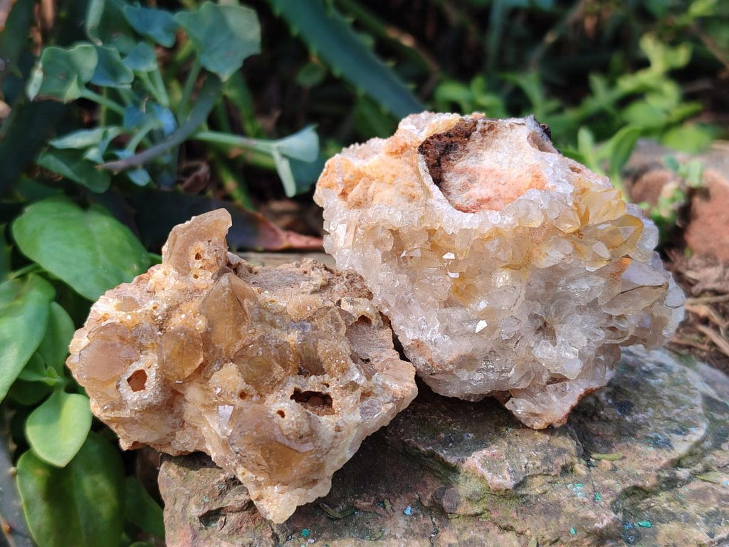 Natural Golden Limonite Quartz Clusters x 12 From Solwezi, Zambia