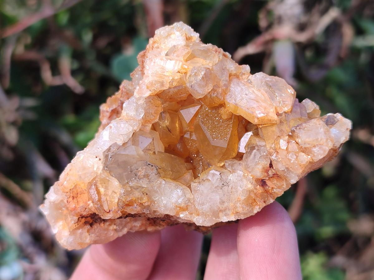 Natural Golden Limonite Quartz Clusters x 12 From Solwezi, Zambia