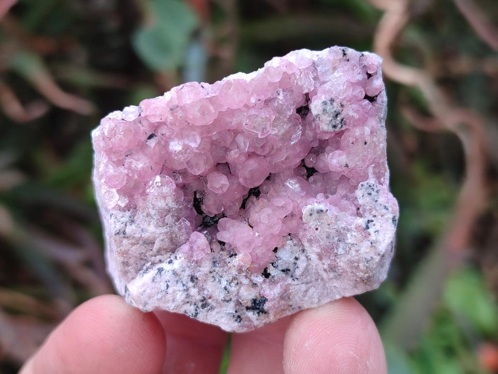Natural Spherocobaltite Specimens x 20 From Musonoi Mine, Congo