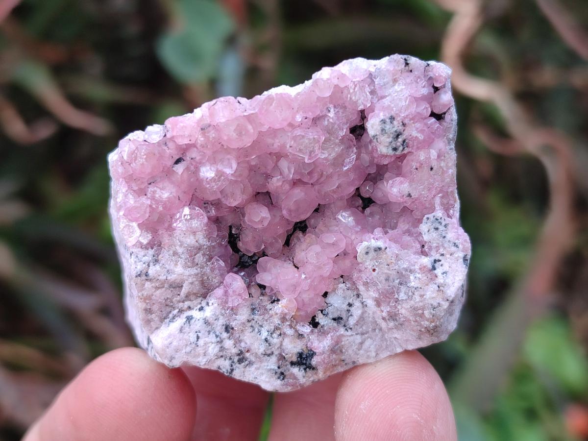 Natural Spherocobaltite Specimens x 20 From Musonoi Mine, Congo