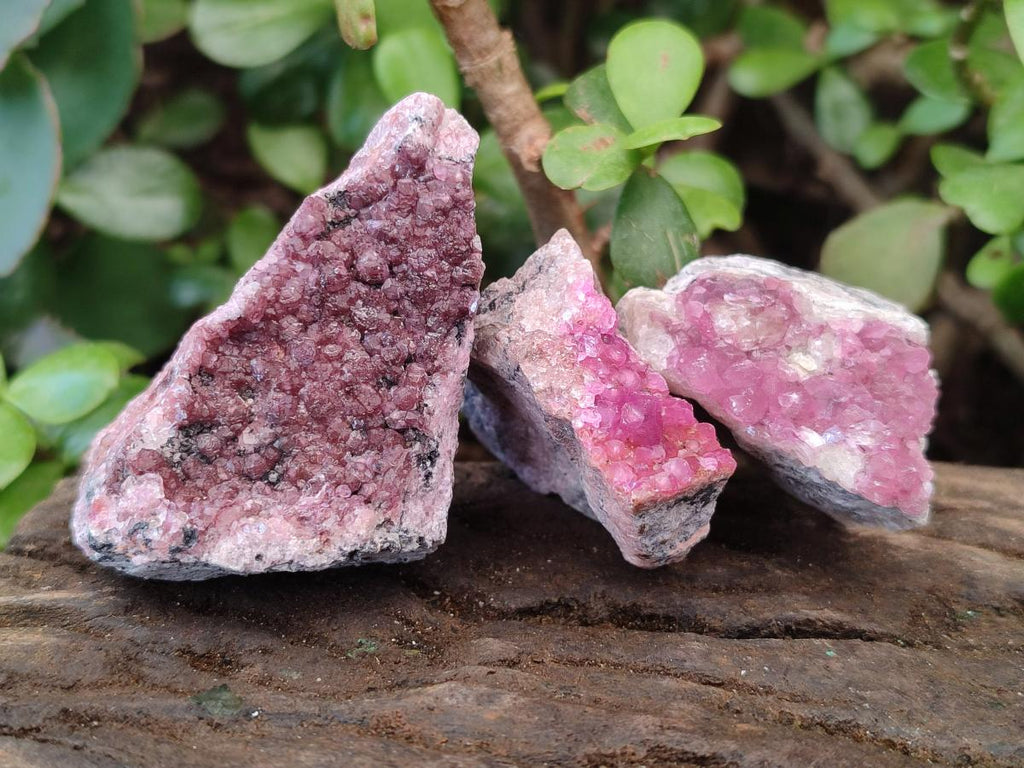 Natural Spherocobaltite Specimens x 20 From Musonoi Mine, Congo