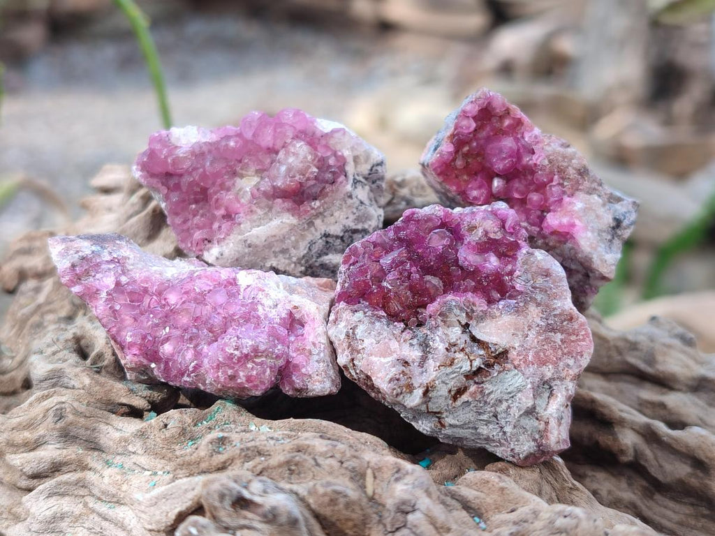 Natural Spherocobaltite Specimens x 20 From Musonoi Mine, Congo
