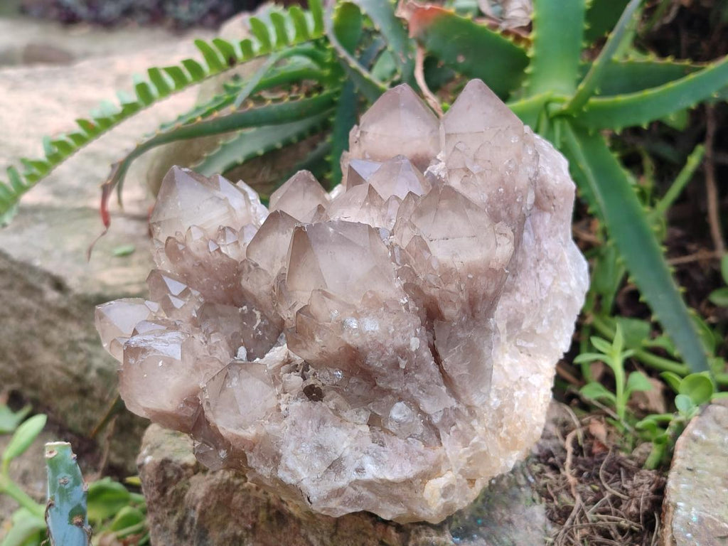 Natural Cascading White Phantom Smokey Luena Quartz Clusters x 2 From Luena, Congo