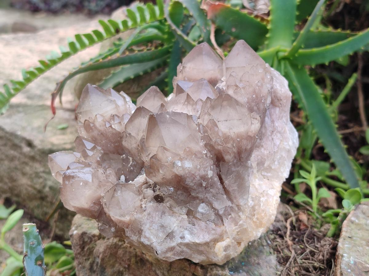 Natural Cascading White Phantom Smokey Luena Quartz Clusters x 2 From Luena, Congo