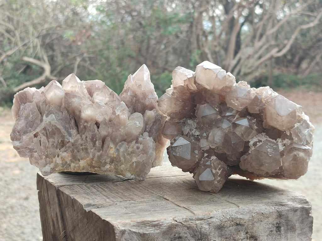 Natural Cascading White Phantom Smokey Luena Quartz Clusters x 2 From Luena, Congo