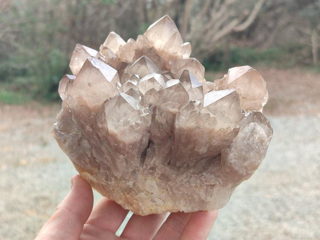 Natural Cascading White Phantom Smokey Luena Quartz Clusters x 2 From Luena, Congo