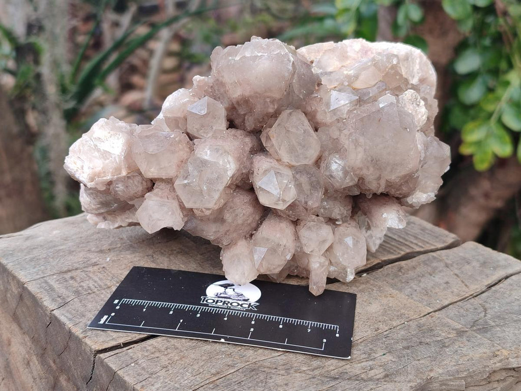 Natural Cascading White Phantom Smokey Luena Quartz Clusters x 2 From Luena, Congo