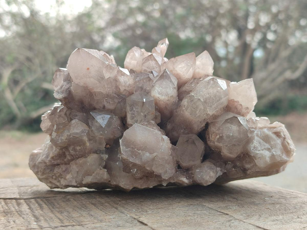 Natural Cascading White Phantom Smokey Luena Quartz Clusters x 2 From Luena, Congo