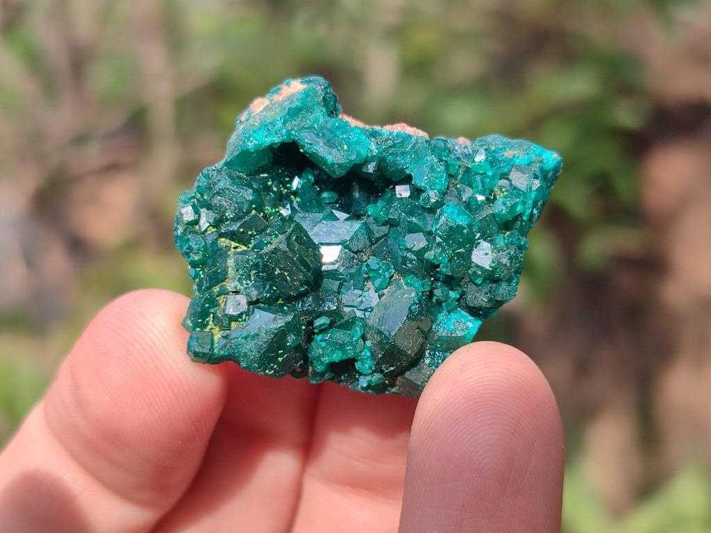 Natural Dioptase on Dolomite Specimens x 8 From Mashamba East Mine, Congo