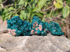 Natural Dioptase on Dolomite Specimens x 8 From Mashamba East Mine, Congo