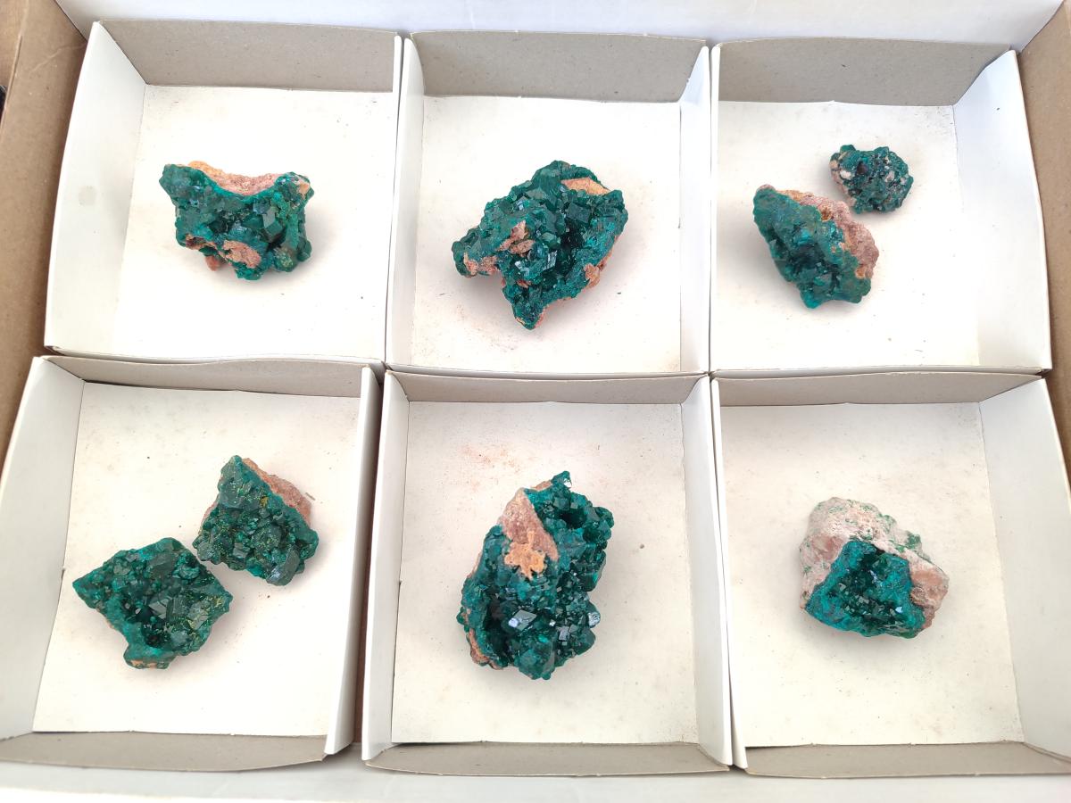 Natural Dioptase on Dolomite Specimens x 8 From Mashamba East Mine, Congo