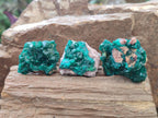 Natural Dioptase on Dolomite Specimens x 8 From Mashamba East Mine, Congo