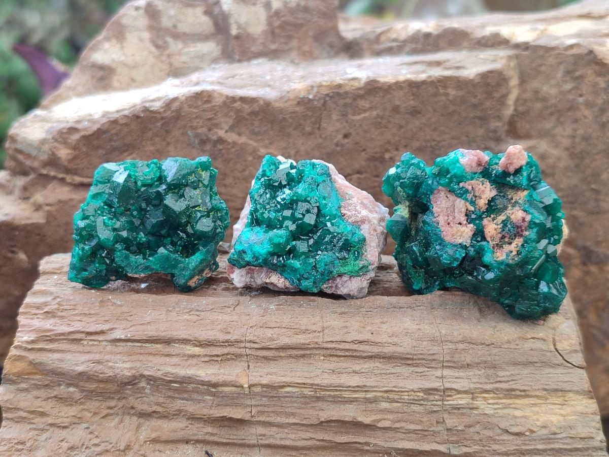 Natural Dioptase on Dolomite Specimens x 8 From Mashamba East Mine, Congo