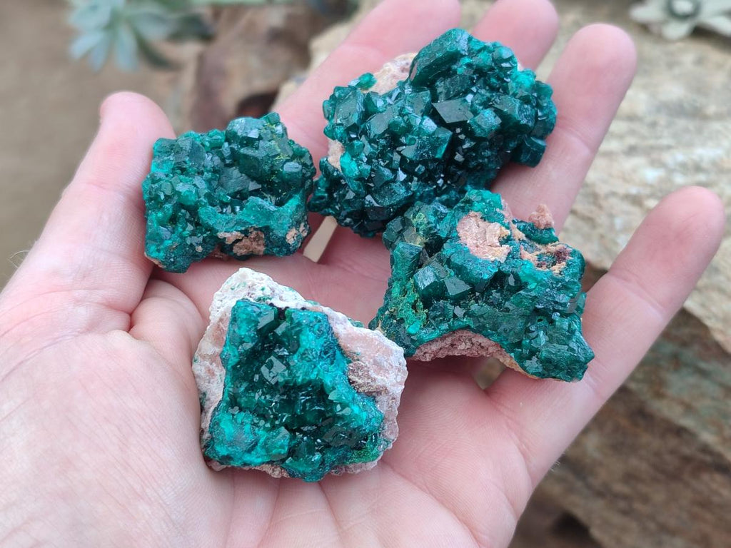 Natural Dioptase on Dolomite Specimens x 8 From Mashamba East Mine, Congo