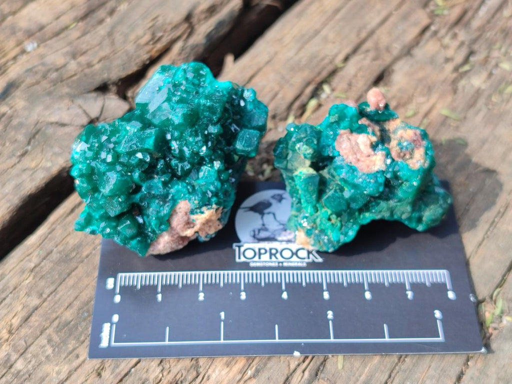 Natural Dioptase on Dolomite Specimens x 8 From Mashamba East Mine, Congo