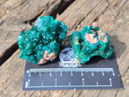 Natural Dioptase on Dolomite Specimens x 8 From Mashamba East Mine, Congo