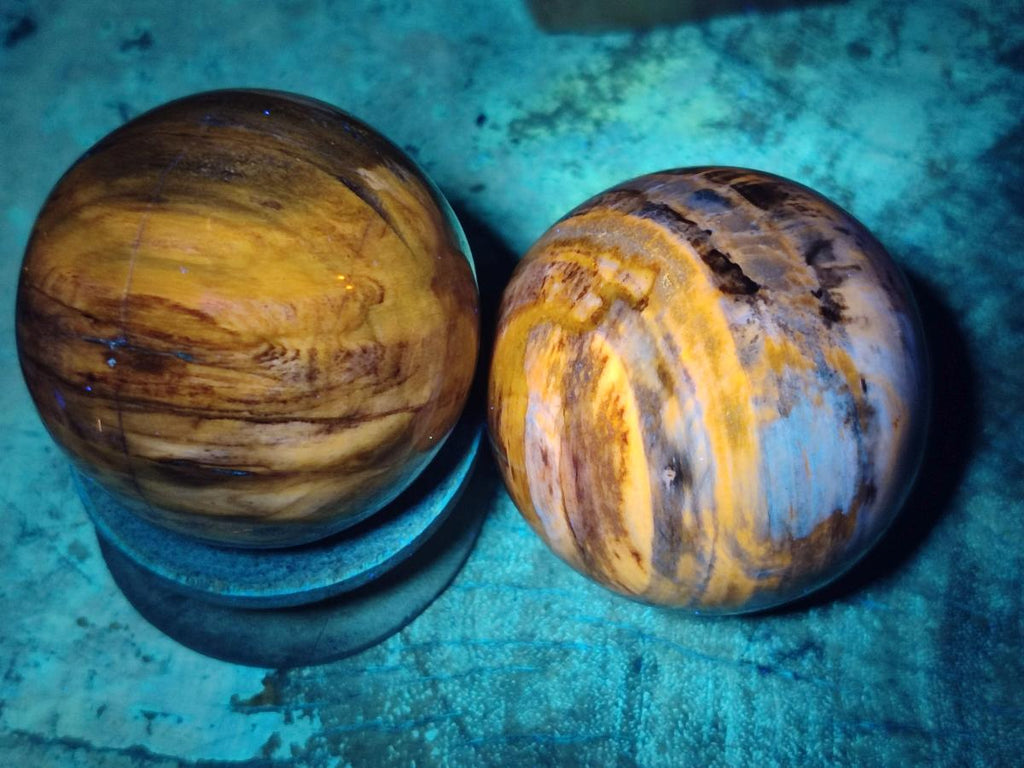 Polished Podocarpus Petrified Wood Spheres x 6 From Mahajanga, Madagascar - Toprock Gemstones and Minerals 