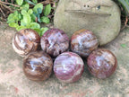 Polished Podocarpus Petrified Wood Spheres x 6 From Mahajanga, Madagascar - Toprock Gemstones and Minerals 