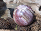 Polished Podocarpus Petrified Wood Spheres x 6 From Mahajanga, Madagascar - Toprock Gemstones and Minerals 