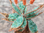 Hand Made Twin and Single Aloe Gemstone Stone Art Trees x 2 From South Africa - Toprock Gemstones and Minerals 