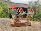 Hand Made Twin and Single Aloe Gemstone Stone Art Trees x 2 From South Africa - Toprock Gemstones and Minerals 