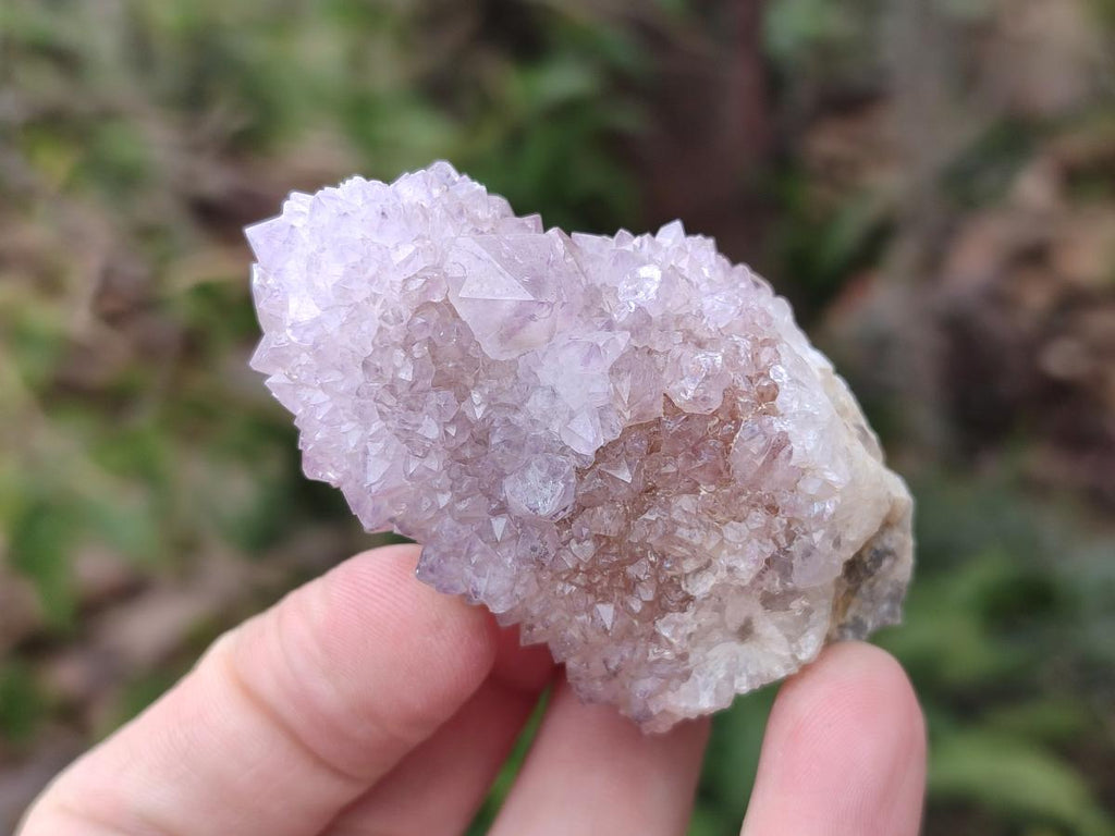 Natural Drusy Spirit Amethyst Clusters x 24 From Boekenhouthoek, South Africa