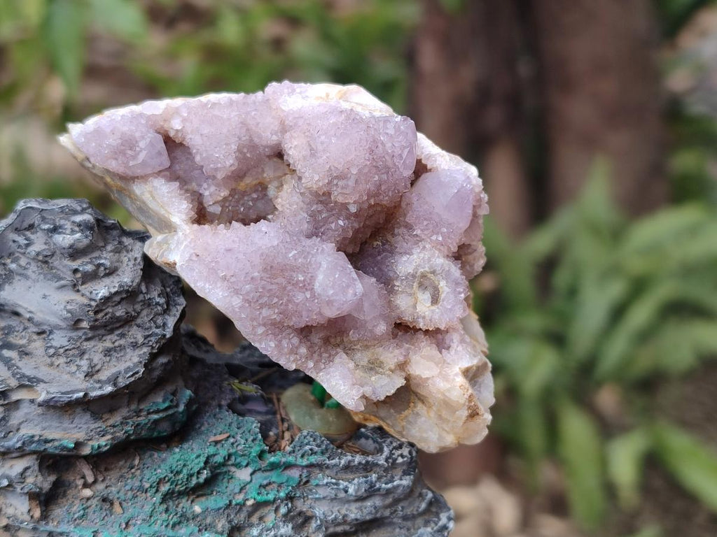 Natural Drusy Spirit Amethyst Clusters x 24 From Boekenhouthoek, South Africa